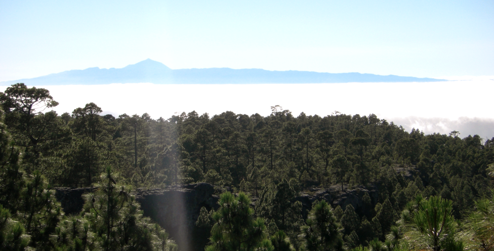 Gran Canaria